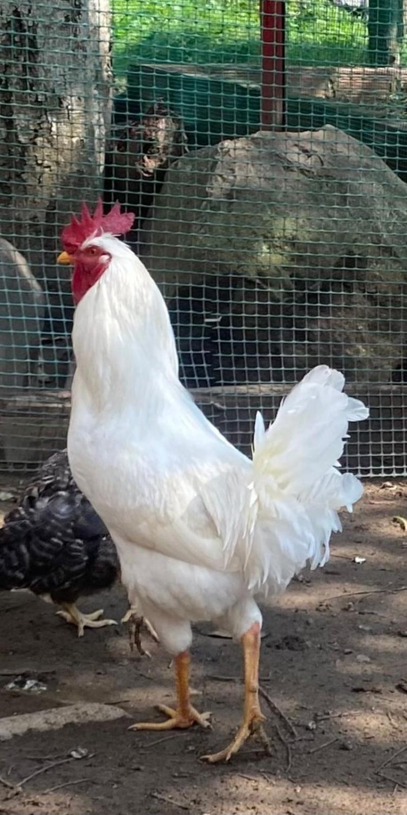 Hosteria Campestre San Fermin ラキラ エクステリア 写真