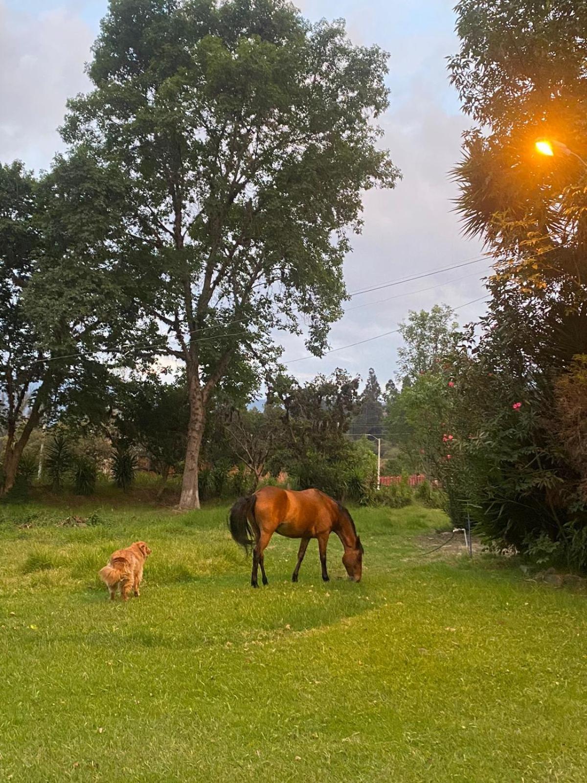 Hosteria Campestre San Fermin ラキラ エクステリア 写真