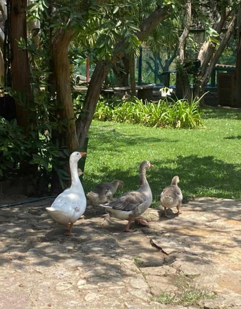 Hosteria Campestre San Fermin ラキラ エクステリア 写真